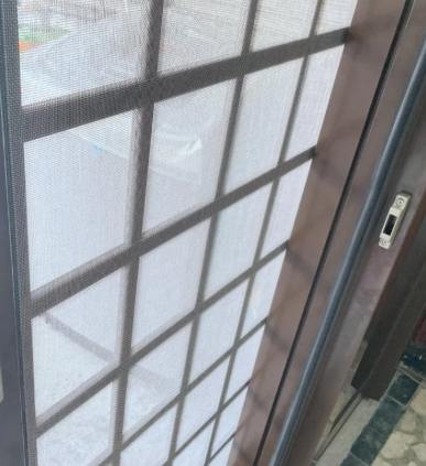 埃及斑蚊的習性