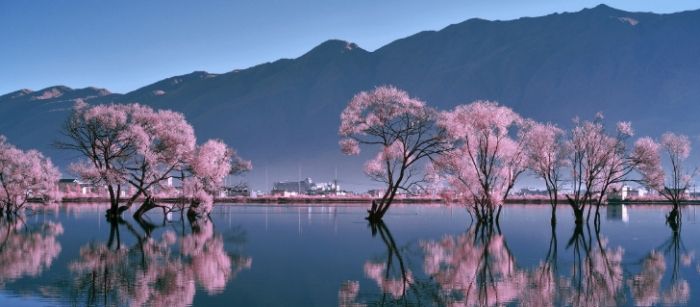 龍潭景點：熱門景點推薦、必吃美食、交通指南與注意事項完整解析 post thumbnail image
