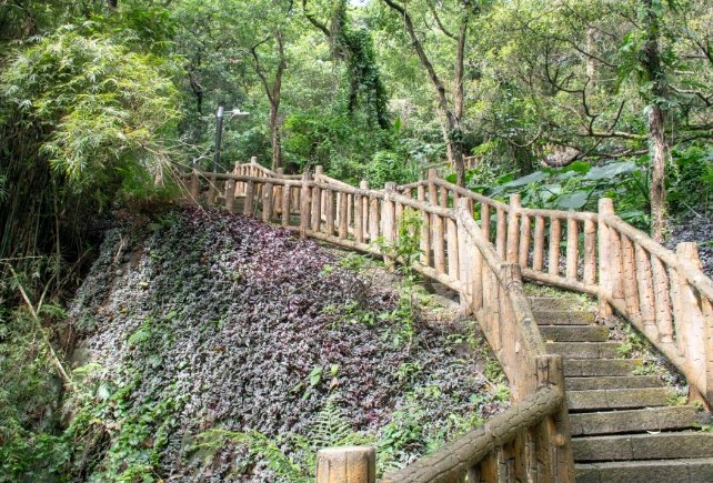 樟腦寮步道：穿梭鐵道森林時空迴廊路線攻略與周邊景點全解析 post thumbnail image