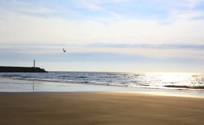 松柏漁港：自駕停車秘訣與周邊美食景點全攻略 post thumbnail image