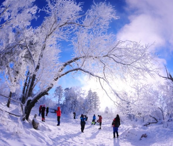 吉林最佳旅遊時間