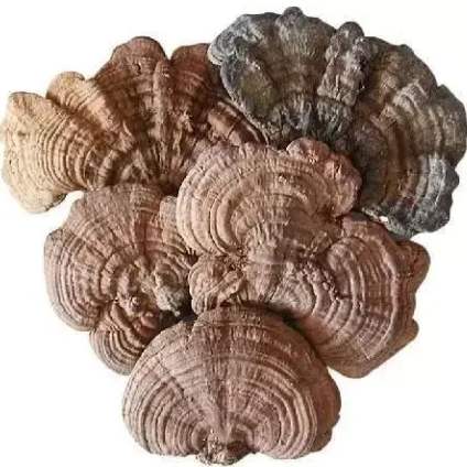 吉林特產購買指南