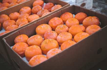 吉林特產購買指南